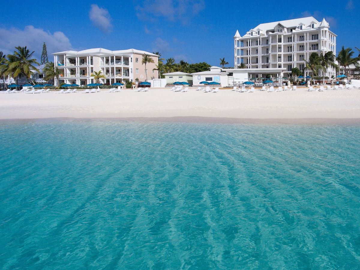 Anguilla beach with palm trees and turquoise Caribbean water — long white sand bay, British Overseas Territory in Lesser Antilles