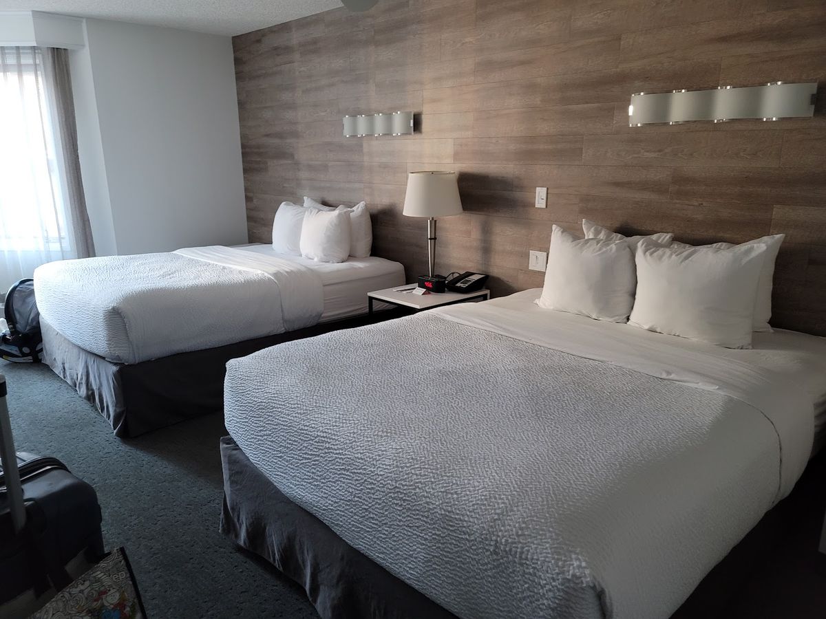 Elk + Avenue Hotel — Banff — additional view 2