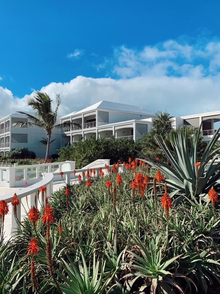 Cambridge Beaches Resort Spa — historic adults only luxury hotel with 78