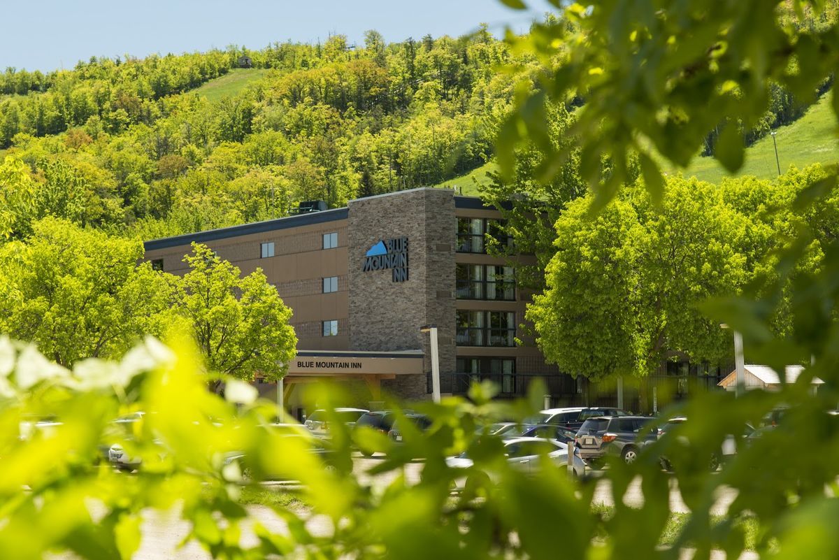 Holiday Inn Express Collingwood — branded value hotel near Blue Mountain