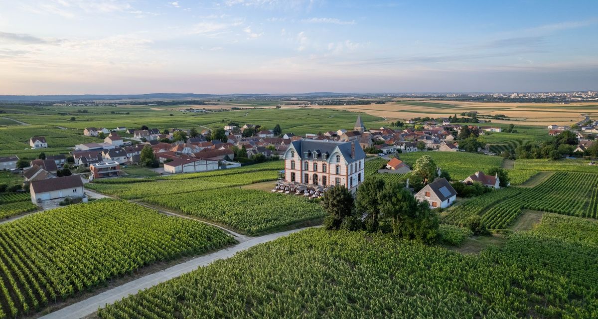Champagne France — vineyard rows in Reims and Épernay region, French sparkling wine country, Marne