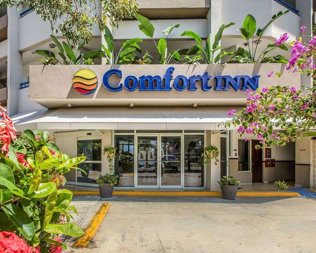 Comfort Inn & Suites Levittown — Dorado — additional view 4