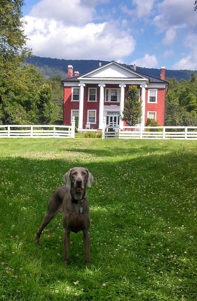 Hummingbird Inn — 1853 carpenter Gothic bed and breakfast in Goshen, Virginia, Allegheny Mountain Country