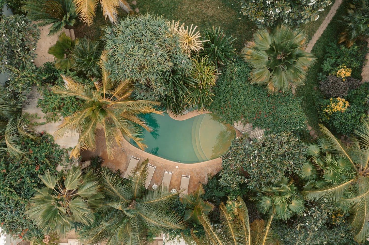 Banana House & Wellness Centre