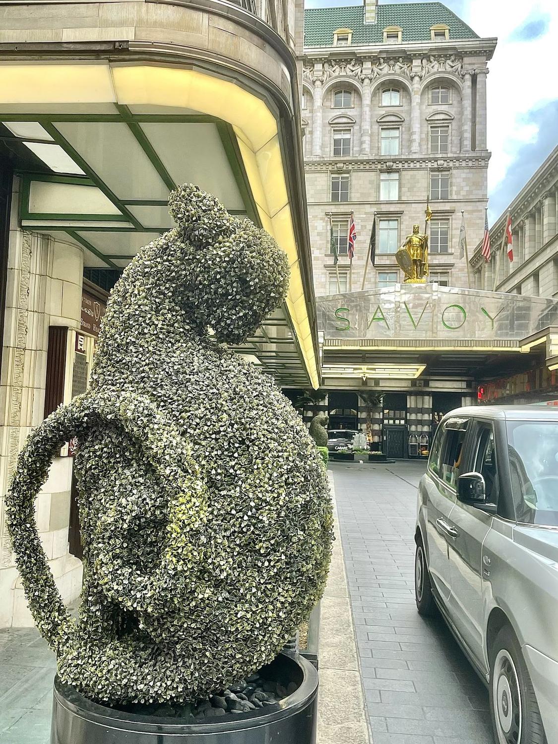 The Savoy