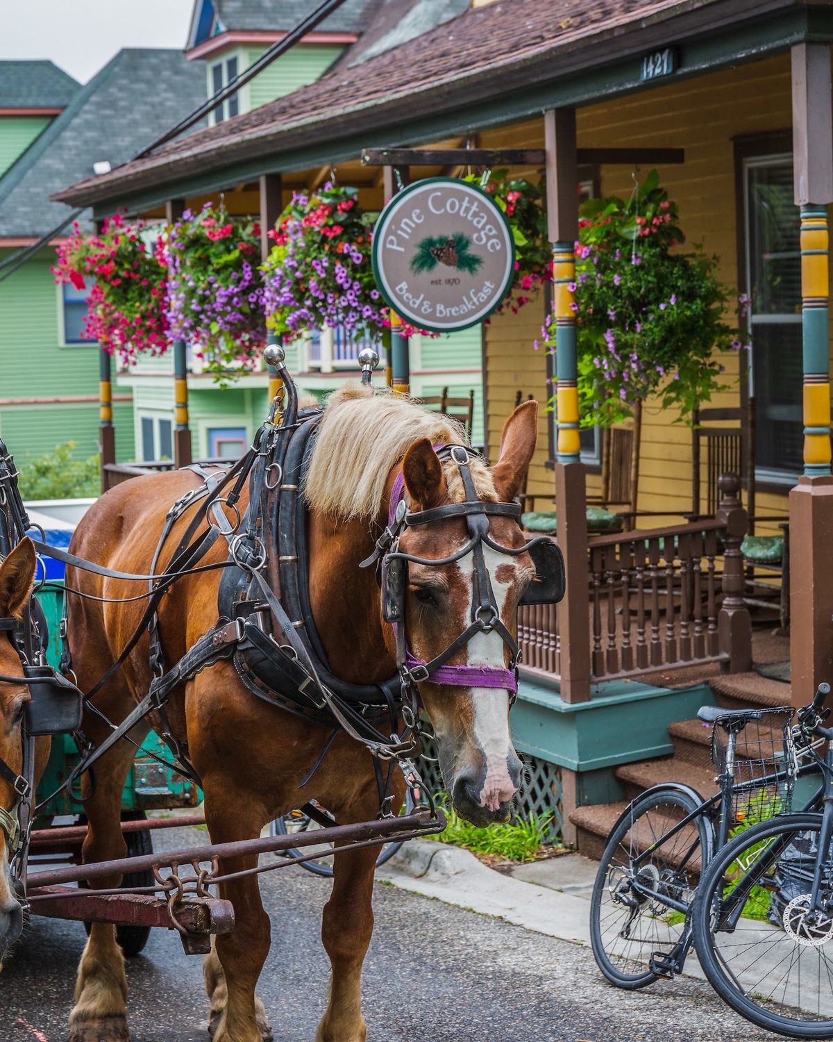 Lake View Hotel Mackinac Island — Victorian hotel on Huron Street with indoor pool and harbour views