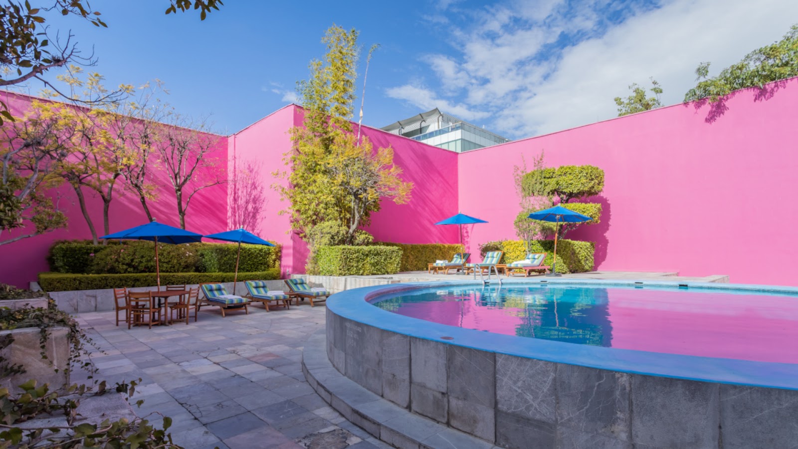 Camino Real Polanco