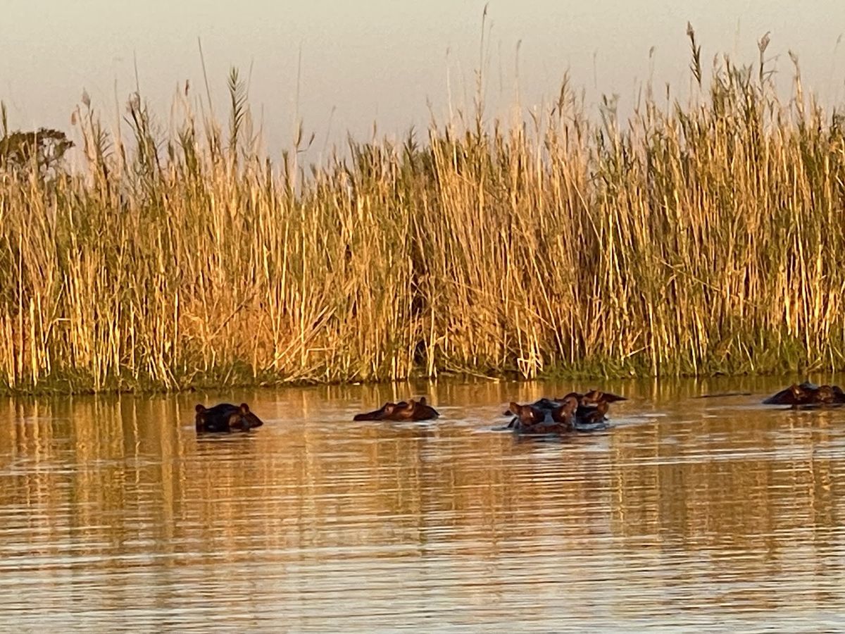 Jao Camp — okavango-delta — additional view 4