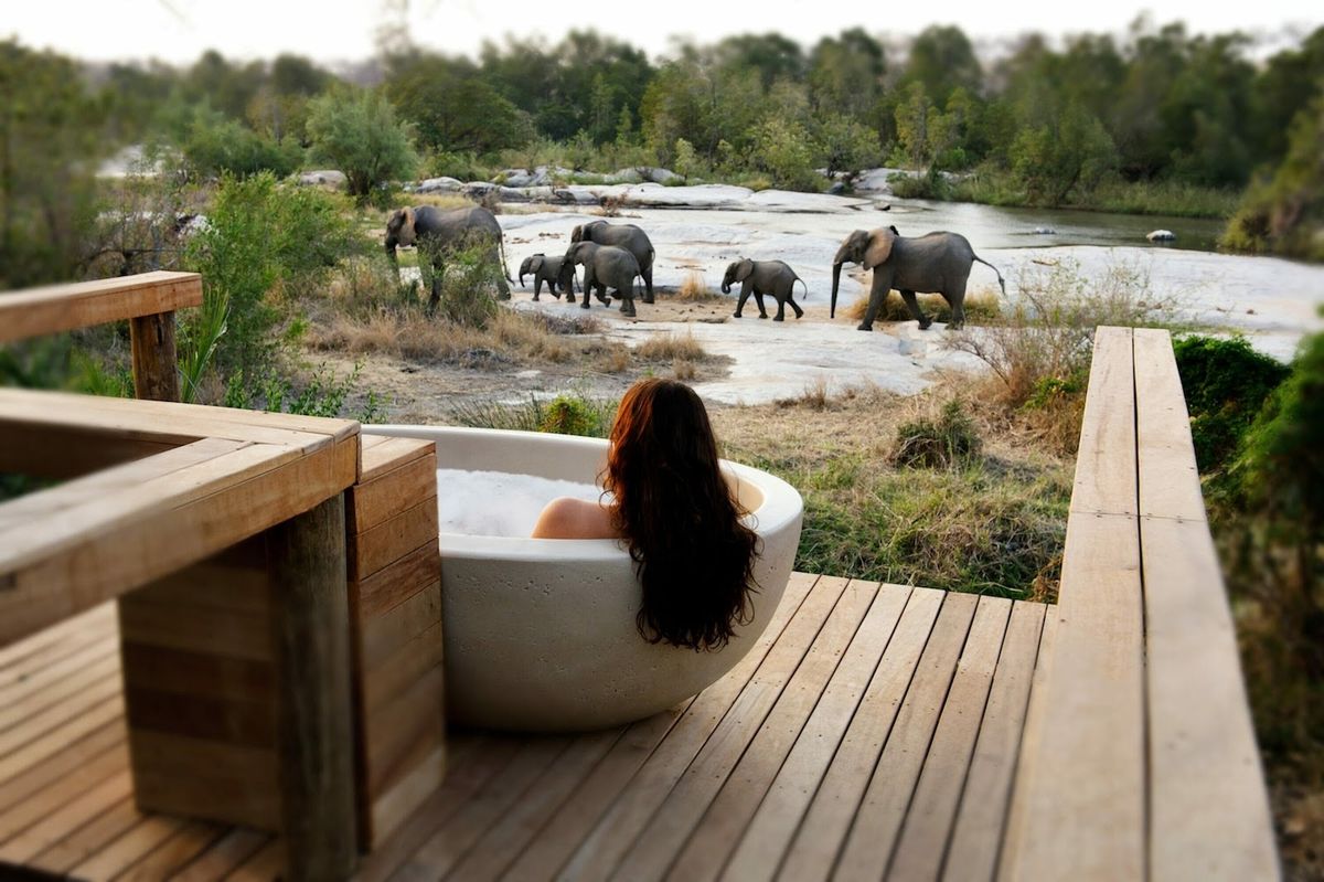 Cheetah Plains Sabi Sand — luxury private use safari villa with three-villa property and exclusive use single-family hire concept