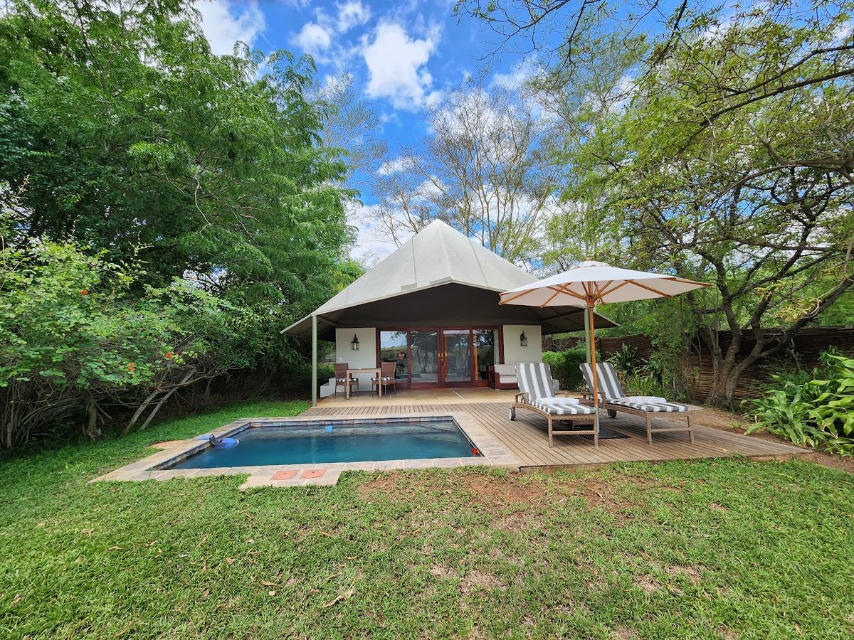 Royal Malewane Greater Kruger — luxury Royal Portfolio safari lodge with 8 suites on Thornybush concession adjacent to Sabi Sand