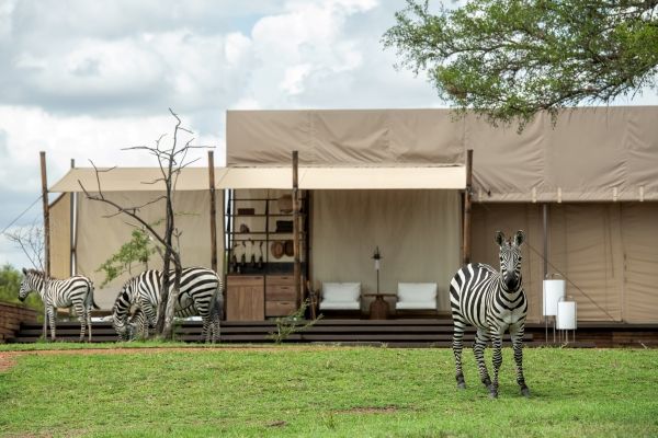 Serengeti luxury hotels