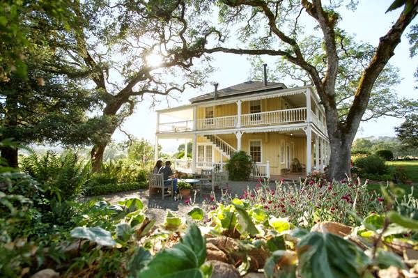 Sonoma Valley vineyards at golden hour — rolling rows of vines under