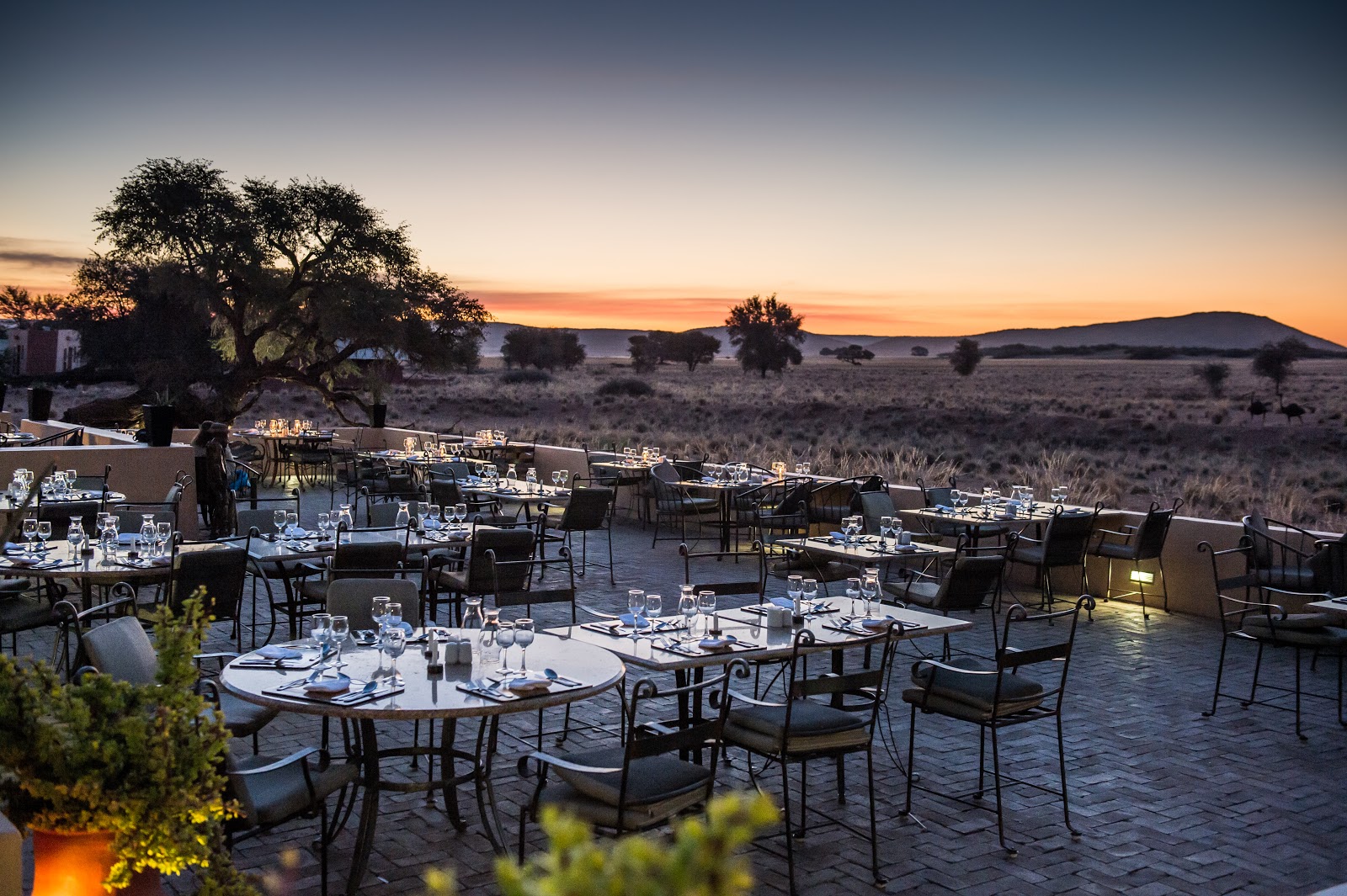 Wolwedans Dunes Lodge Namibia — 9 chalets on dune crest in NamibRand Nature Reserve eco-luxury