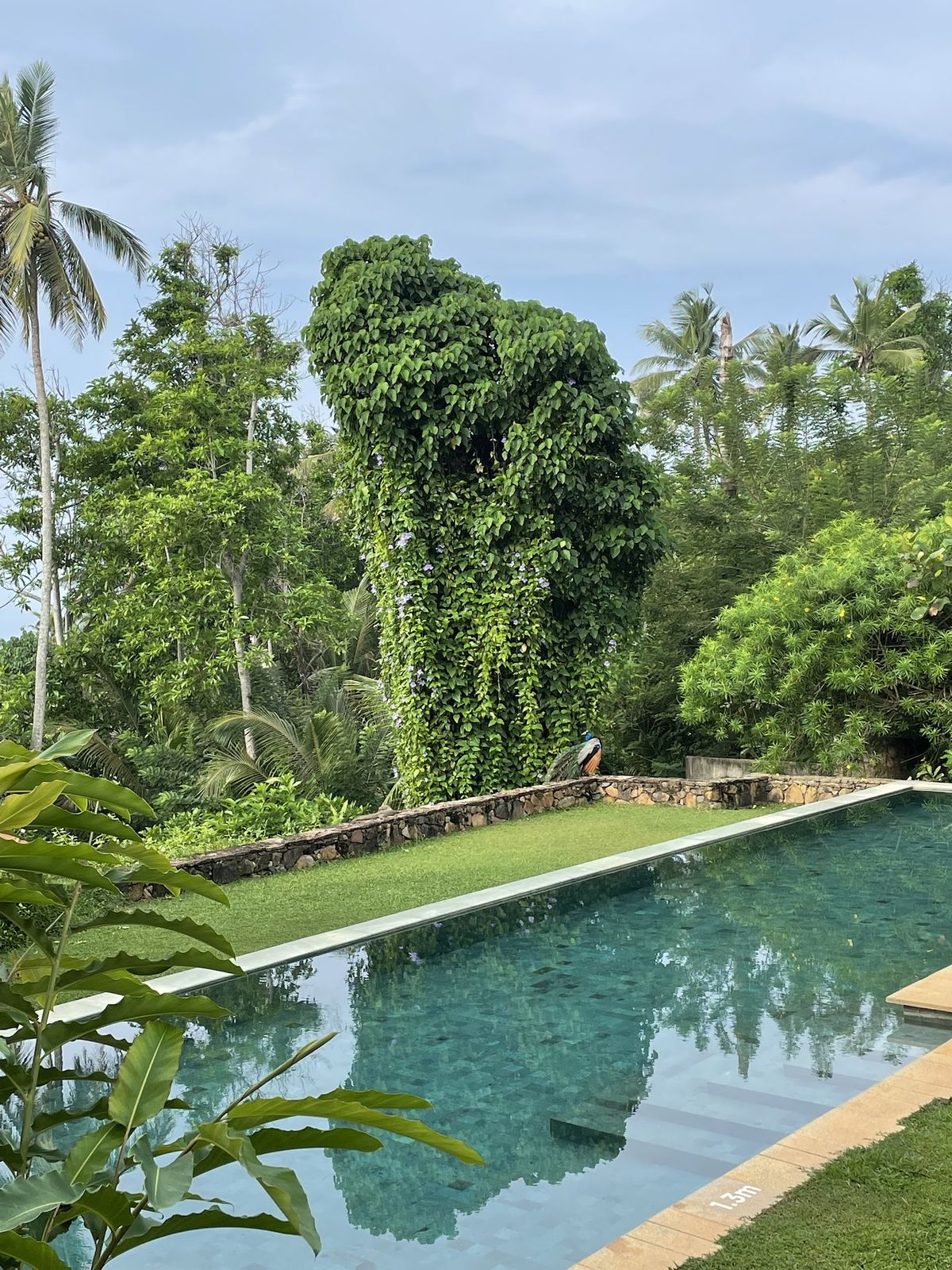 Amanwella — sri-lanka — additional view 3