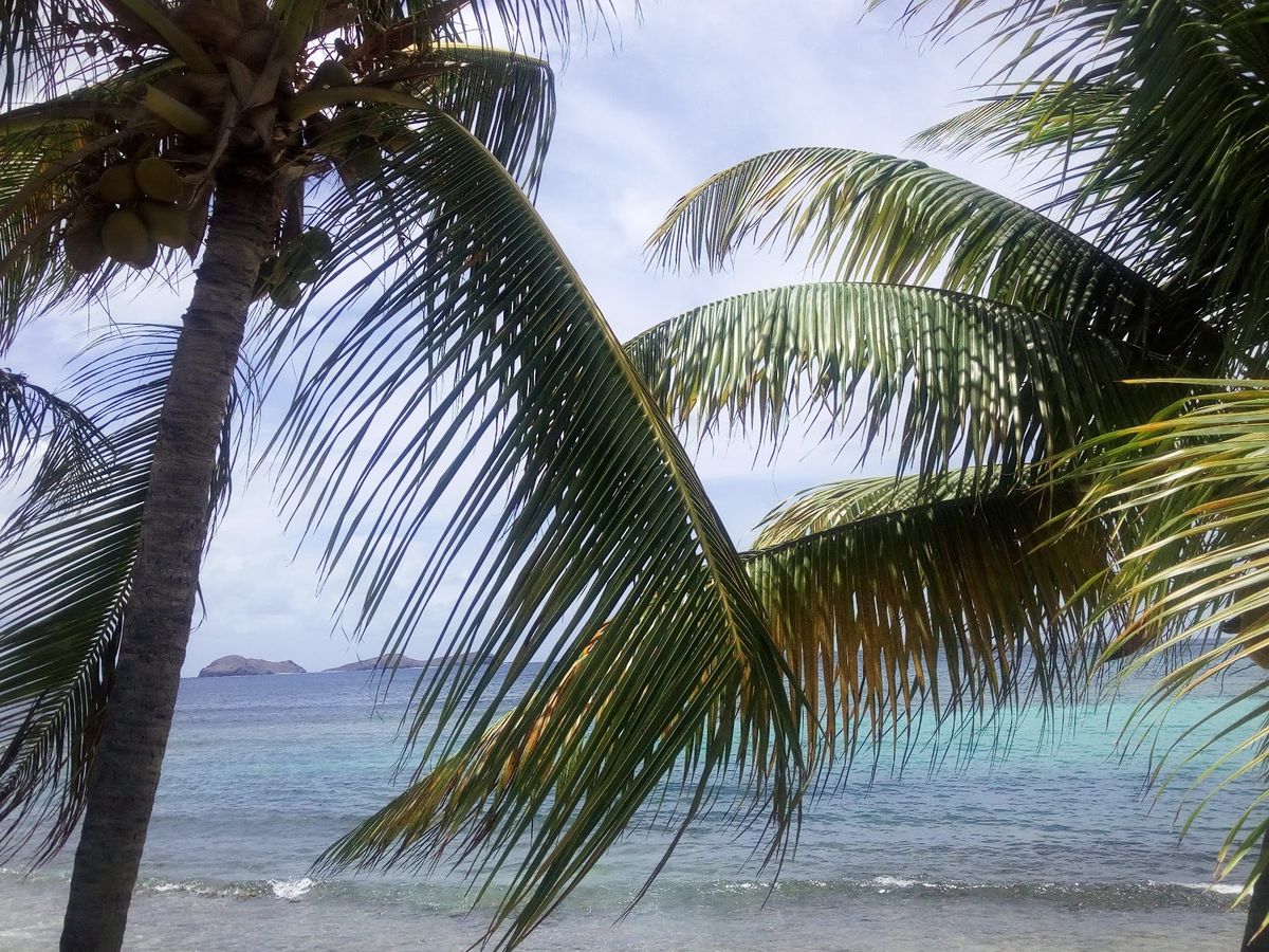 Hotel Les Mouettes — St Barths — additional view 3