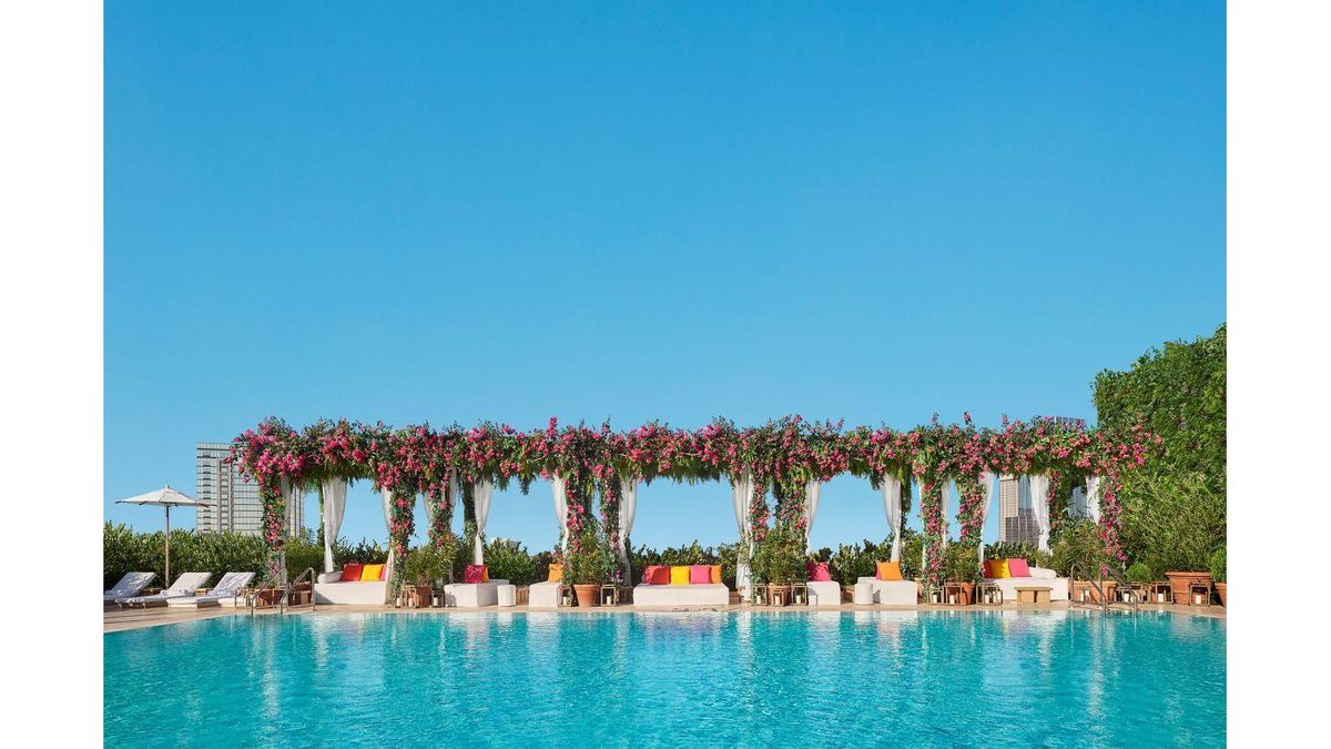 Tampa luxury hotels