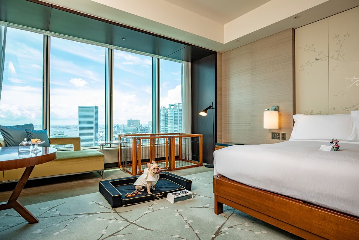Conrad Tokyo — Tokyo — additional view 2