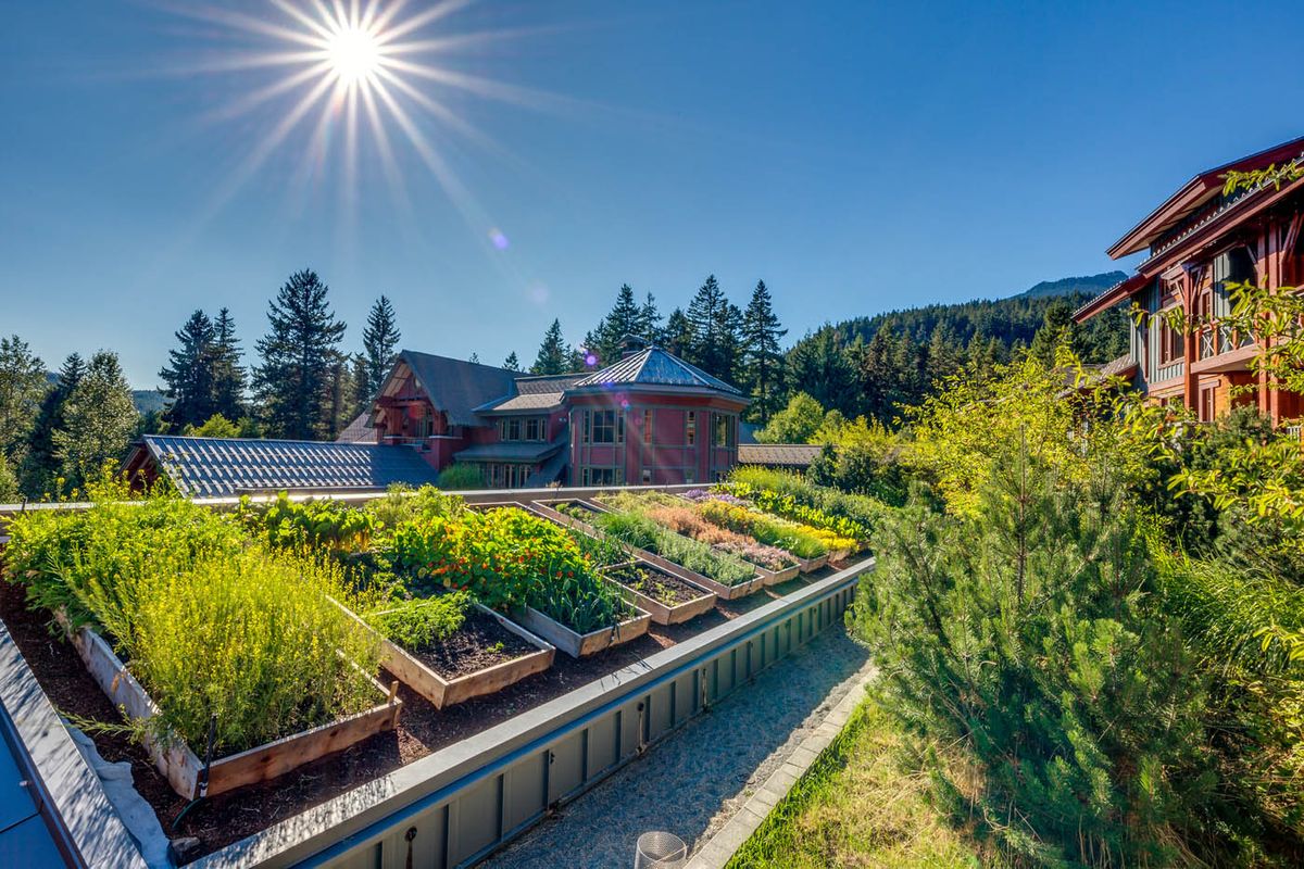 Pan Pacific Whistler Mountainside — all-suite hotel at the base of Whistler and Blackcomb gondolas